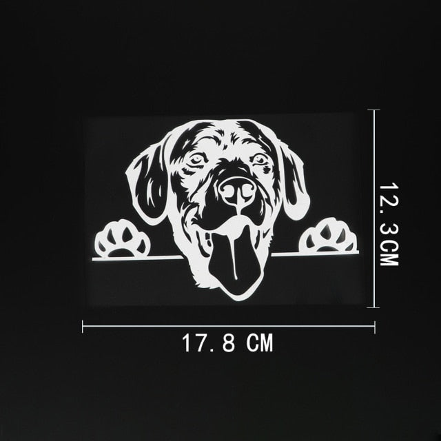 Labrador Retriever Vinyl Car Peeker Sticker
