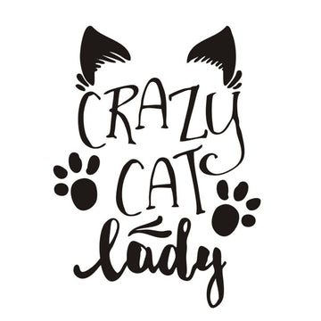 Cute 'Crazy Cat Lady' Vinyl Car Sticker