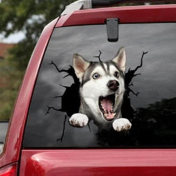 Siberian Husky 'Shocked' Car Window Vinyl Sticker