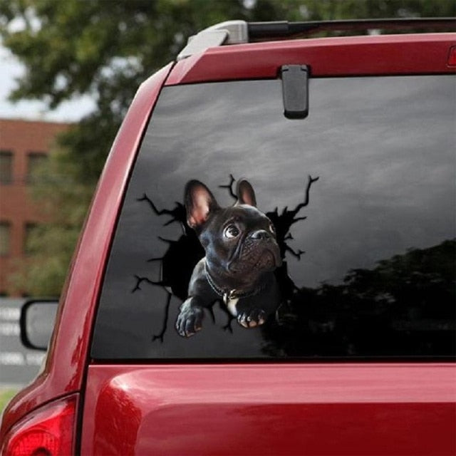 French Bulldog 'Look Up' Car Window Vinyl Sticker