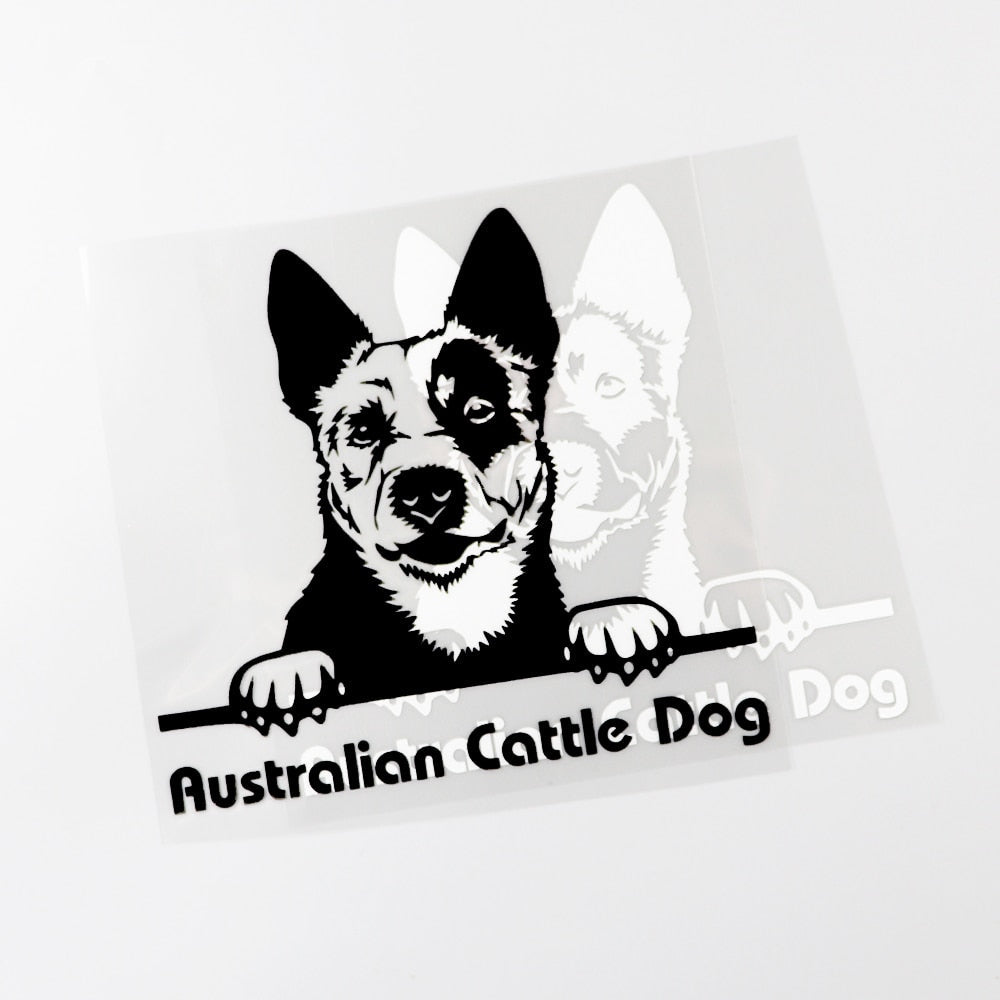 Australian Cattle Dog Vinyl Car Peeker Sticker