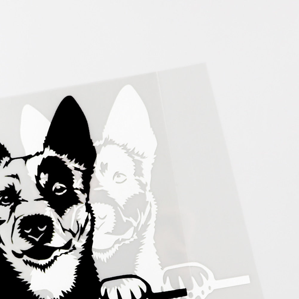 Australian Cattle Dog Vinyl Car Peeker Sticker