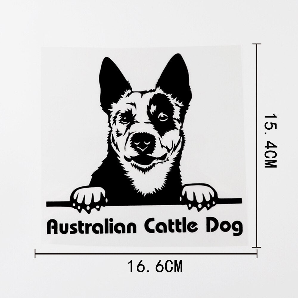 Australian Cattle Dog Vinyl Car Peeker Sticker