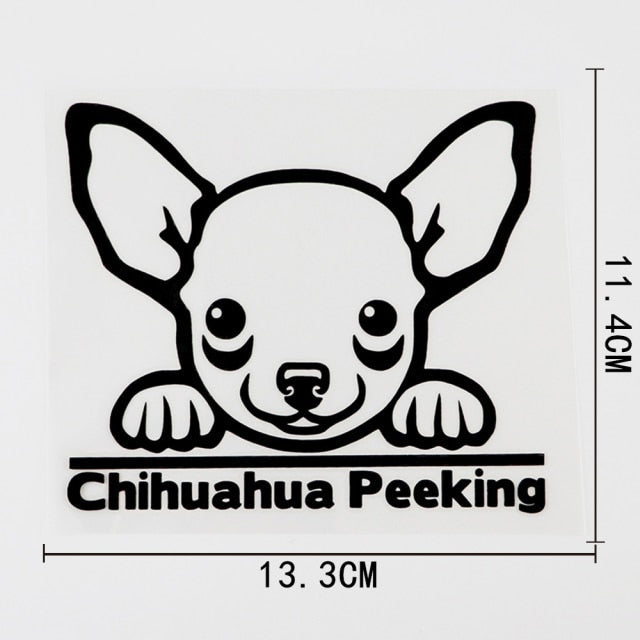 Chihuahua 'Chihuahua Peeking' Vinyl Decal Car Sticker