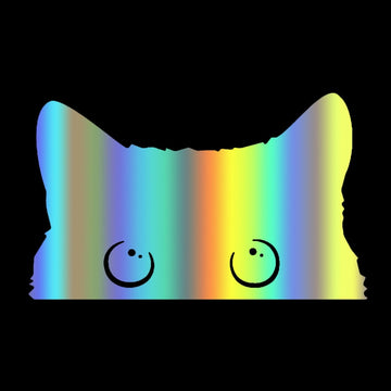 Rainbow Cat Vinyl Car Peeker Sticker